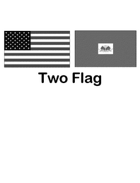 TWO FLAG logo