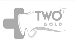 TWO GOLD logo