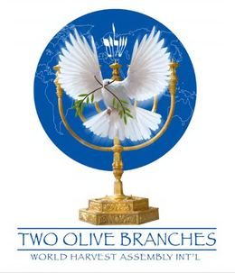 TWO OLIVE BRANCHES WORLD HARVEST ASSEMBLY INT'L logo