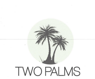 TWO PALMS logo