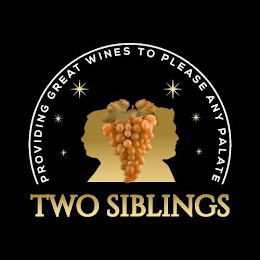 TWO SIBLINGS PROVIDING GREAT WINES TO PLEASE ANY PALATE logo