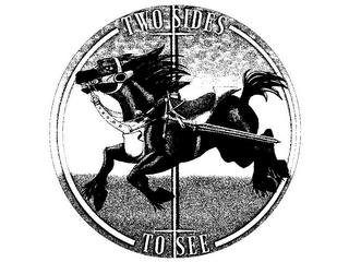 TWO SIDES TO SEE logo