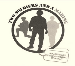TWO SOLDIERS AND A MARINE AN AMERICAN VETERAN OWNED COMPANY logo