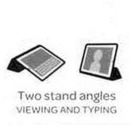 TWO STAND ANGLES VIEWING AND TYPING logo