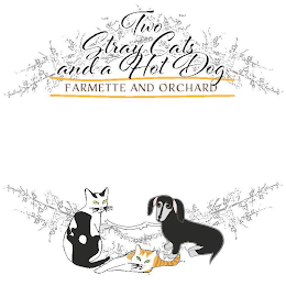 TWO STRAY CATS AND A HOT DOG FARMETTE AND ORCHARD logo