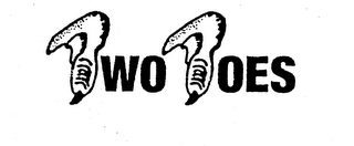 TWO TOES logo