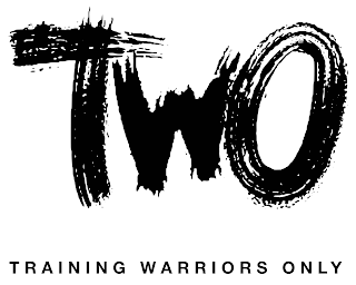 TWO TRAINING WARRIORS ONLY logo