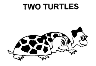 TWO TURTLES logo