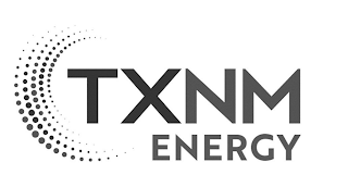 TXNM ENERGY logo