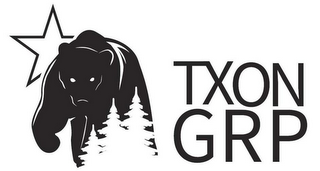 TXON GRP logo