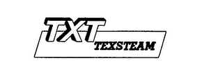 TXT TEXSTEAM logo