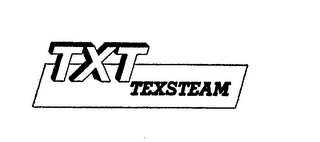 TXT TEXSTEAM logo