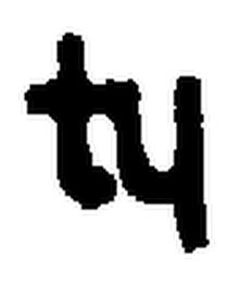 TY logo