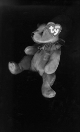 TY logo
