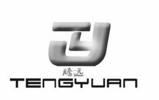TY TENGYUAN logo