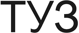 TY3 logo