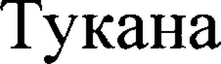TYKAHA logo