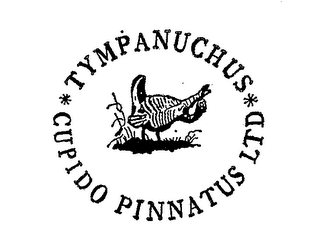 TYMPANUCHUS CUPIDO PINNATUS LTD