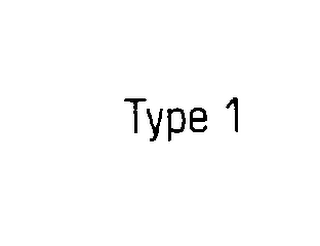TYPE 1 logo