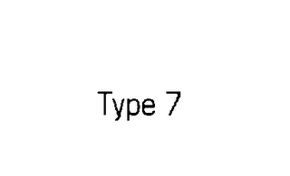 TYPE 7 logo