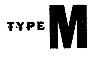 TYPE M logo