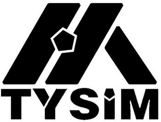 TYSIM logo