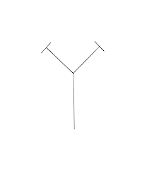 TYT logo