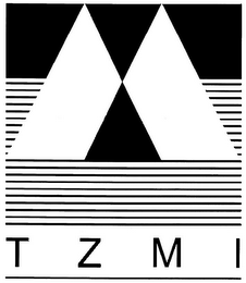TZMI logo