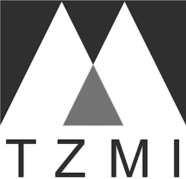 TZMI logo