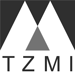 TZMI logo