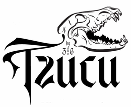 TZUCU BY 3ONE6 logo