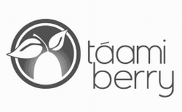 TÁAMI BERRY logo