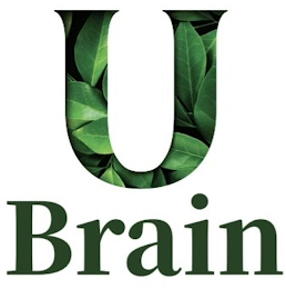 U BRAIN logo