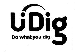 U DIG DO WHAT YOU DIG. logo