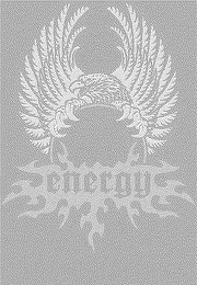 U S ENERGY DRINK logo
