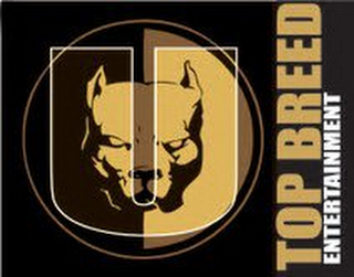 U TOP BREED ENTERTAINMENT logo