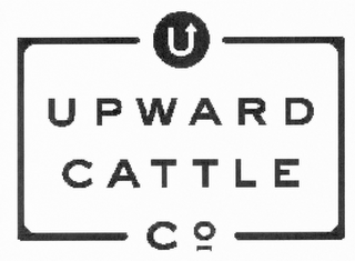 U UPWARD CATTLE CO logo