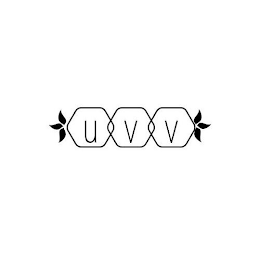U V V logo