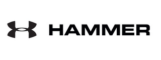 UA HAMMER logo