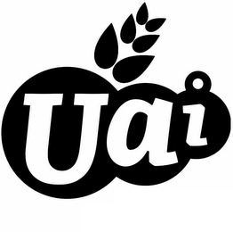 UAI logo