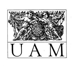 UAM logo