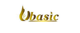 UBASIC logo