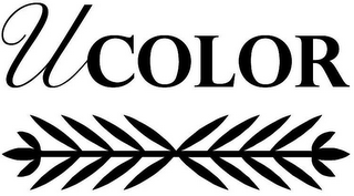 UCOLOR logo