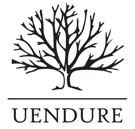 UENDURE logo