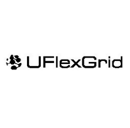 UFLEXGRID logo