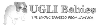 UGLI BABIES THE EXOTIC TANGELO FROM JAMAICA logo