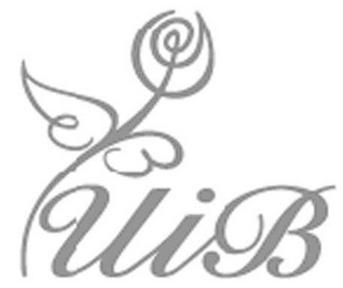 UIB logo