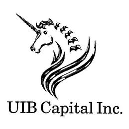 UIB CAPITAL INC. logo