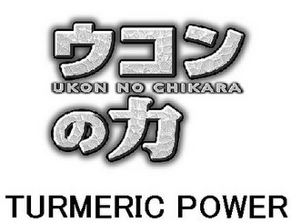 UKON NO CHIKARA TURMERIC POWER logo