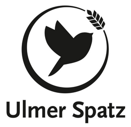 ULMER SPATZ logo